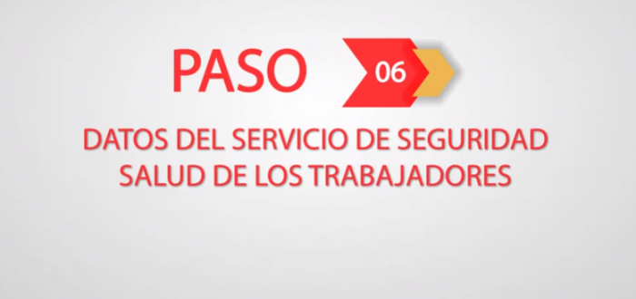 Paso 6 SISCOVID Empresas